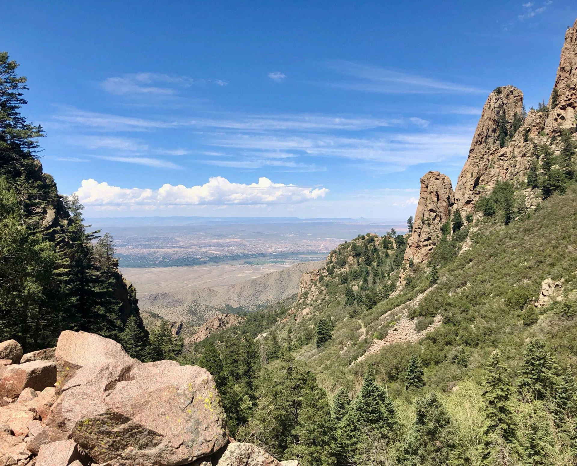 Albuquerque Landscape