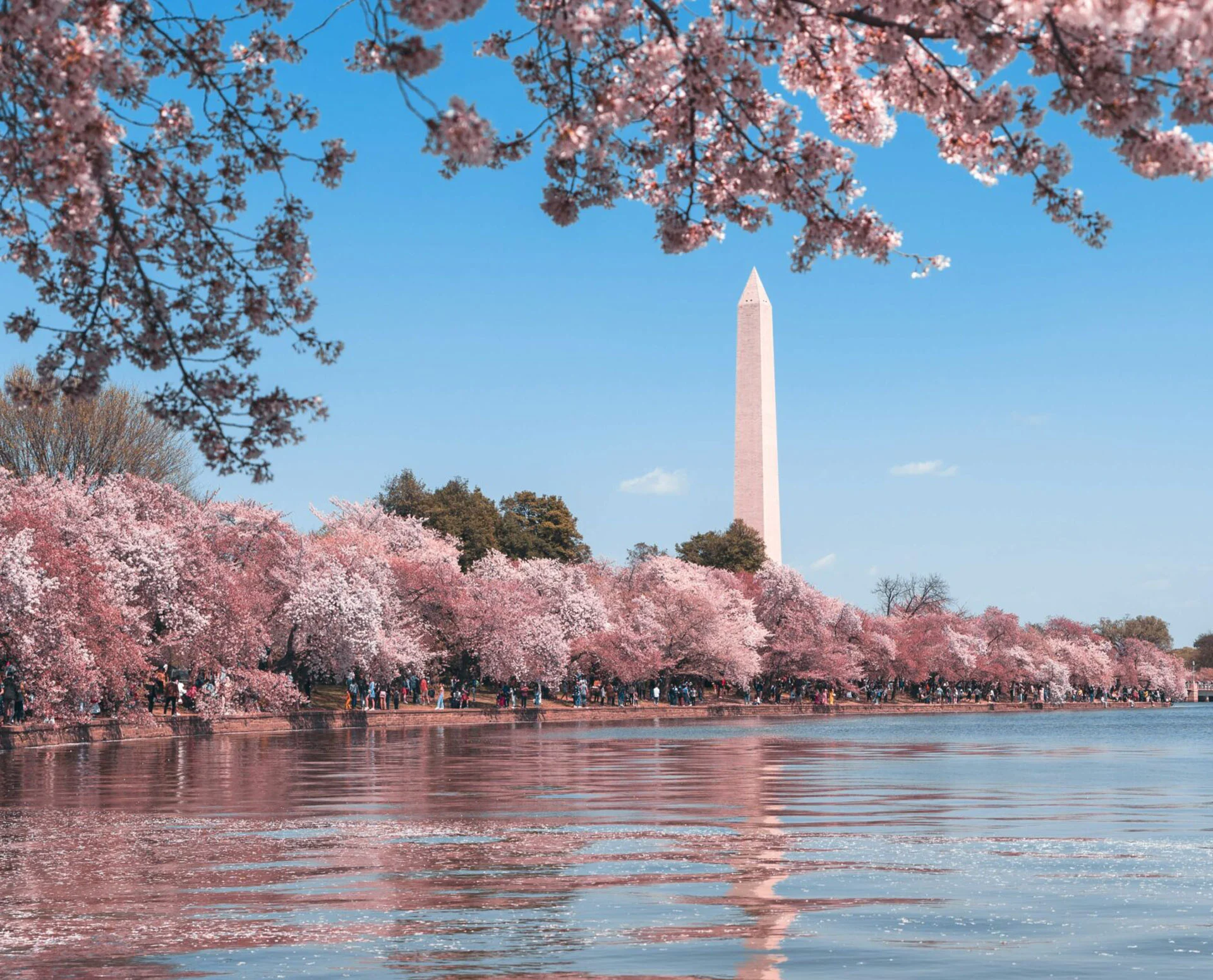 Washington D.C. Riverside